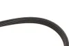 Ремінь генератора Nissan Primera/Micra/Note/Toyota Corolla 1.0-2.5D 83- Gates 4PK823 (фото 4)