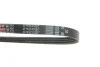 Ремінь генератора BMW 3 (E90)/5 (E60)/7 (E65/E66/E67) 2.5/3.0D 02-11 M57 Gates 4PK830SF (фото 6)