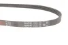 Ремінь генератора Honda Civic VI/Nissan Primera 1.3-6.0 87- Gates 4PK845 (фото 3)