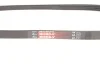 Ремінь генератора Honda Civic VI/Nissan Primera 1.3-6.0 87- Gates 4PK845 (фото 4)