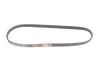 Ремінь генератора Honda Civic VI/Nissan Primera 1.3-6.0 87- Gates 4PK845 (фото 6)