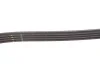 Ремінь генератора BMW 3 (E46)/7 (E65/E66/E67)/X3 (E83) 2.0/4.4D 01-10 M47/M67 Gates 4PK895SF (фото 3)
