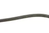 Ремінь генератора Fiat Brava 1.6 16V 95-01/Peugeot 205/305 1.9D 83-89/Renault Laguna 3.0 96-01 Gates 4PK960 (фото 3)