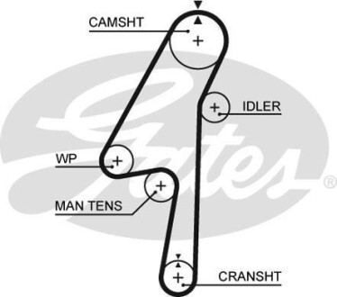 Ремень ГРМ Gates 5580XS