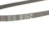 Ремінь генератора Mazda 323/626/Opel Astra G/Vectra B/C 2.0/2.2 00-08 Gates 5PK1030 (фото 5)