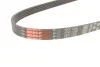 Ремінь генератора Mazda 323/626/Opel Astra G/Vectra B/C 2.0/2.2 00-08 Gates 5PK1030 (фото 6)