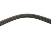 Ремінь генератора Peugeot Partner 1.4-1.6 16V 96-15 Gates 5PK1250 (фото 4)
