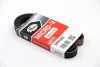 Ремінь генератора VW Passat B5/Audi A4/A6 1.6/1.8 95- Gates 5PK1303 (фото 4)