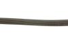 Ремінь генератора Suzuki SX4 2.0 06- Gates 5PK1665 (фото 4)