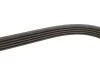 Ремінь генератора Kia Cerato/Rio 1.5-1.6 CRDI 05-11 Gates 5PK1745 (фото 4)