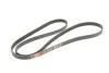Ремінь генератора MB A-class (W169)/B-class (W245) 1.5-2.0 04-12 M266 Gates 5PK1765 (фото 3)