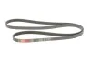 Ремінь генератора BMW 5 (E39)/Opel Omega B 2.5D/2.5TD 94-03 Gates 5PK1815 (фото 2)