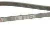 Ремінь генератора BMW 5 (E39)/Opel Omega B 2.5D/2.5TD 94-03 Gates 5PK1815 (фото 5)