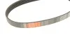 Ремінь генератора VW Golf V/Passat/Touran 1.4TSI 05- Gates 5PK493 (фото 4)