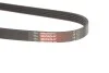Ремінь генератора Ford Focus/Kuga 2.5 05- Gates 5PK848 (фото 3)