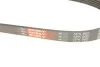 Ремень генератора BMW 3 (E46)/5 (E39)/7 (E38) 95-05 M52/M54 Gates 5PK865 (фото 6)