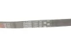 Ремінь генератора Ford Mondeo I-II/Fiesta IV/Focus II 1.8 TD/2.5 ST 93-00 Gates 5PK885 (фото 6)