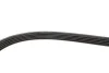Ремінь генератора BMW 3/5 90-00 / Ford Focus 2.5 05-12 Gates 5PK890 (фото 4)