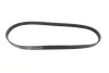 Ремінь генератора BMW 3/5 90-00 / Ford Focus 2.5 05-12 Gates 5PK890 (фото 5)