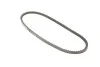 Ремінь генератора Opel Omega A/Vectra A 2.0-3.0 86-95/Ford Fiesta 1.0-1.1 76-95 (10x813) Gates 6262MC (фото 2)