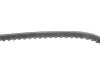 Ремінь генератора Citroen GS/Daewoo Tico/Land Rover Discovery I/Peugeot 305 II/505 78-00 (10х613) Gates 6281MC (фото 2)