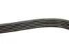 Ремінь генератора Volvo C70/S60/S70/S80/XC90 2.0-3.8 98-20 Gates 6DPK1825 (фото 5)