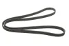 Ремінь генератора Volvo C70/S40/S80/S70/V70/XC70/XC90 1.6-3.0 95-14 Gates 6DPK1838 (фото 7)