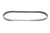 Ремінь генератора VW Caddy/Golf VIi-VIII/Passat B8/Tiguan/Touran 1.0-1.6 13- Gates 6PK1003 (фото 5)