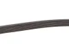 Ремінь генератора Fiat Ducato 2.5D/TD (PS) Gates 6PK1010 (фото 4)