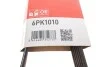 Ремінь генератора Fiat Ducato 2.5D/TD (PS) Gates 6PK1010 (фото 6)