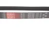 Ремінь генератора Audi A3/A4/Seat Leon/VW Caddy/Passat/Tiguan 1.6-2.0TDI Gates 6PK1028 (фото 4)