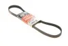 Ремінь генератора Ford C-Max II/Focus III/Fiesta VI/Mondeo IV 1.2-1.6LPG 07- Gates 6PK1030SF (фото 1)