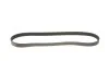Ремінь генератора Ford C-Max II/Focus III/Fiesta VI/Mondeo IV 1.2-1.6LPG 07- Gates 6PK1030SF (фото 2)