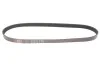Ремінь генератора VW Caddy 1.9D/SDI -03 (WP,TP) Gates 6PK1038