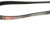 Ремінь генератора Ford Focus/Fiesta/Fusion/Mazda 2 1.25-1.6 98- Gates 6PK1042-1059SF (фото 4)