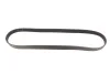 Ремінь генератора Citroen C3/C4/Peugeot 307 1.4-1.6HDi 02- Gates 6PK1090SF (фото 6)