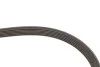 Ремінь генератора Citroen Jumper/Peugeot Boxer 2.0 94-/VW Caddy 1.4 04- Gates 6PK1098 (фото 4)