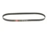 Ремінь генератора VW T5 1.9TDI/2.0 03- (PS) Gates 6PK1113 (фото 1)