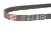 Ремінь генератора Citroen Jumper 1.9TD 94-02 (ALT,PS) Gates 6PK1130 (фото 3)