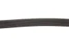 Ремінь генератора Citroen Jumper 1.9TD 94-02 (ALT,PS) Gates 6PK1130 (фото 4)
