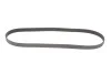 Ремінь генератора Citroen Jumper 1.9TD 94-02 (ALT,PS) Gates 6PK1130 (фото 5)