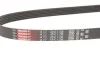 Ремінь генератора VW Caddy/T5 1.9TDI Gates 6PK1138 (фото 3)