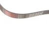 Ремінь генератора Citroen Jumper/Peugeot Boxer 3.0HDI 03- Gates 6PK1163 (фото 3)
