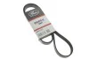Ремінь генератора Citroen Nemo/Fiat Fiorino/Peugeot 206 1.4/1.8 03- Gates 6PK1225 (фото 2)