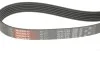 Ремінь генератора Citroen Nemo/Fiat Fiorino/Peugeot 206 1.4/1.8 03- Gates 6PK1225 (фото 3)
