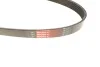 Ремінь генератора Citroen C5/Jumpy/Peugeot 3008/5008/Expert 2.0BlueHDI 16- Gates 6PK1230 (фото 3)