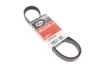 Ремінь генератора Ford Galaxy II/Mondeo IV 2.0 TDCi 06-15 Gates 6PK1245