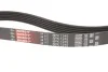 Ремінь генератора Ford Galaxy II/Mondeo IV 2.0 TDCi 06-15 Gates 6PK1245 (фото 3)