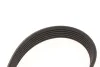 Ремінь генератора Ford Galaxy II/Mondeo IV 2.0 TDCi 06-15 Gates 6PK1245 (фото 4)