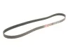 Ремінь генератора Ford Focus II/C-Max/Volvo C30/S40 II/V50 1.8/2.0 04-12 Gates 6PK1249SF (фото 3)